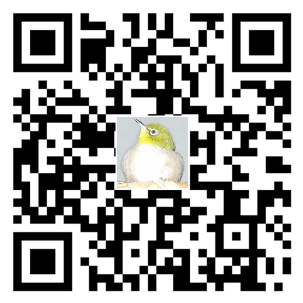 SEELENHEIL総合litLink鳥だるま